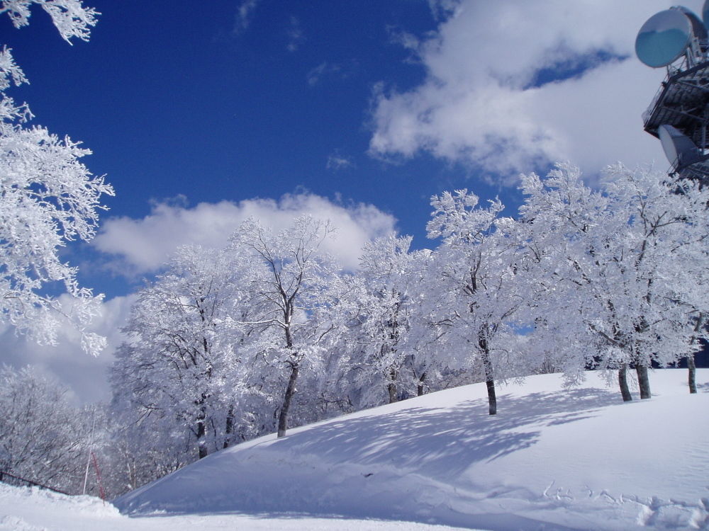 Lodge Matsuya Nozawaonsen Eksteriør bilde