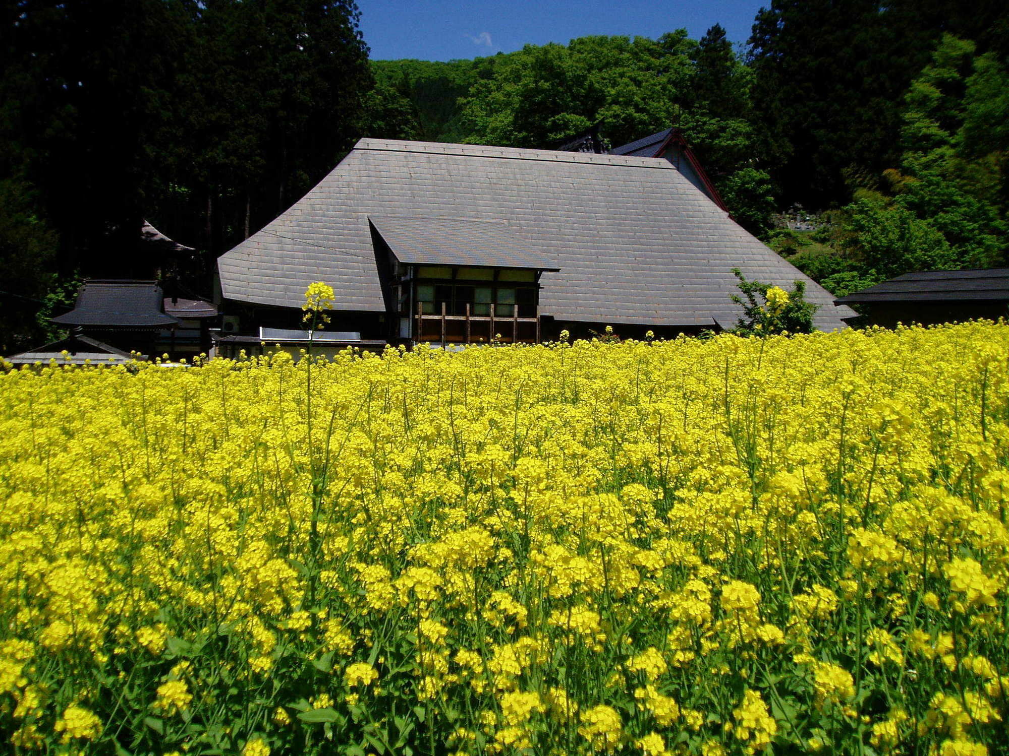 Lodge Matsuya Nozawaonsen Eksteriør bilde